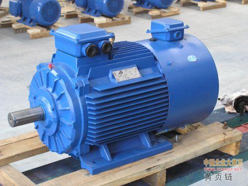 MDSP系列變頻調(diào)速電機(jī)大連電機(jī)